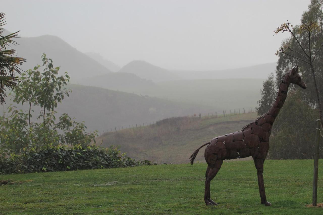 Cape South Estate - International Award-Winning Country Estate With Pacific Views Havelock North Eksteriør billede