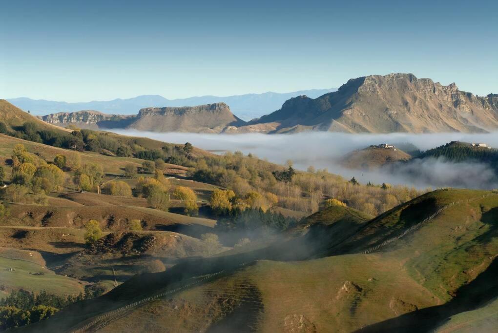 Cape South Estate - International Award-Winning Country Estate With Pacific Views Havelock North Eksteriør billede