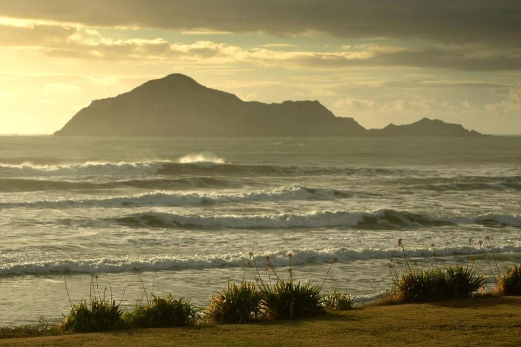 Cape South Estate - International Award-Winning Country Estate With Pacific Views Havelock North Eksteriør billede