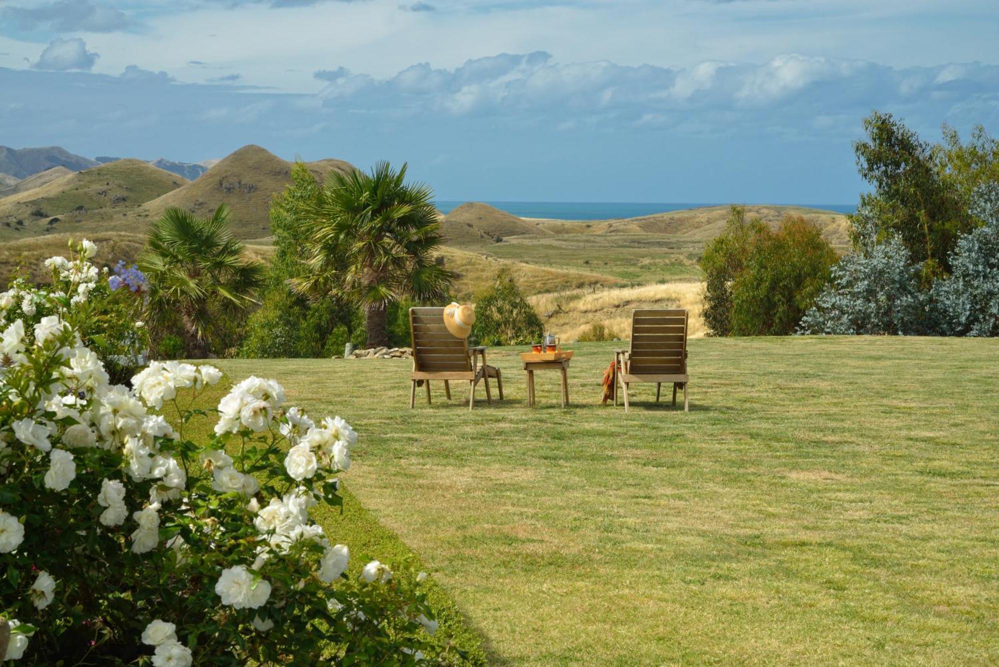 Cape South Estate - International Award-Winning Country Estate With Pacific Views Havelock North Eksteriør billede